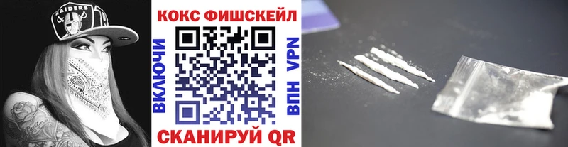 Купить  Петрозаводск  КОКАИН FishScale 