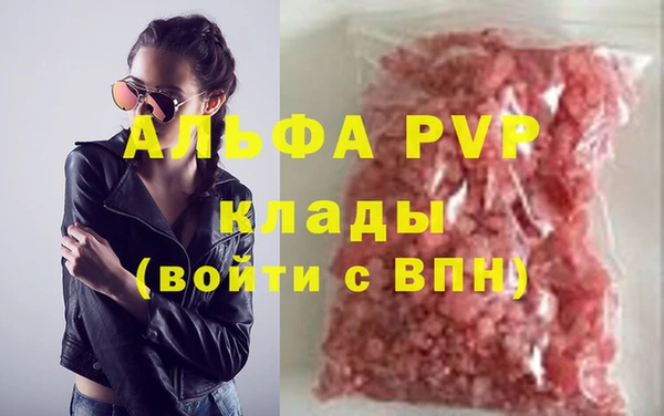 прущие грибы Заводоуковск
