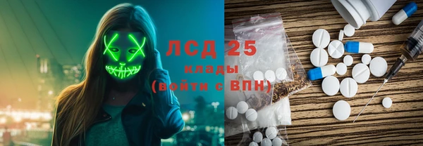 прущие грибы Заводоуковск