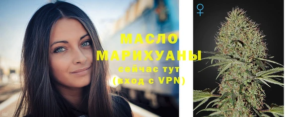 прущие грибы Заводоуковск
