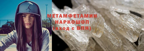 прущие грибы Заводоуковск