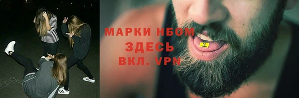прущие грибы Заводоуковск