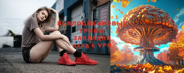 прущие грибы Заводоуковск